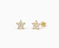 Clear Flower Earrings