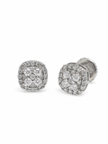 Studs- Moissanite Earrings